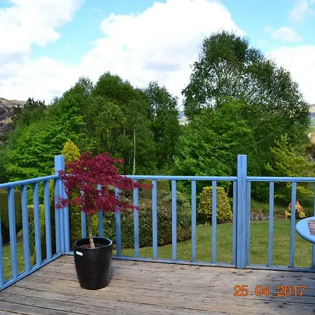 Bed & Breakfast Beechwood House *